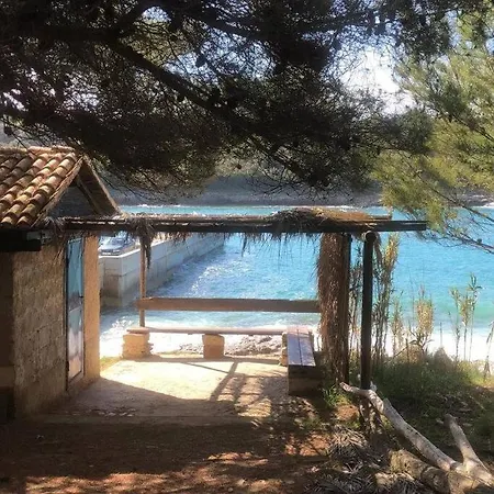 公寓 Two Olives, Free Parking, Close To Beaches & Park 普莱曼图拉