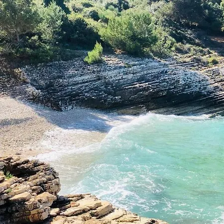 Two Olives, Free Parking, Close To Beaches & Park *